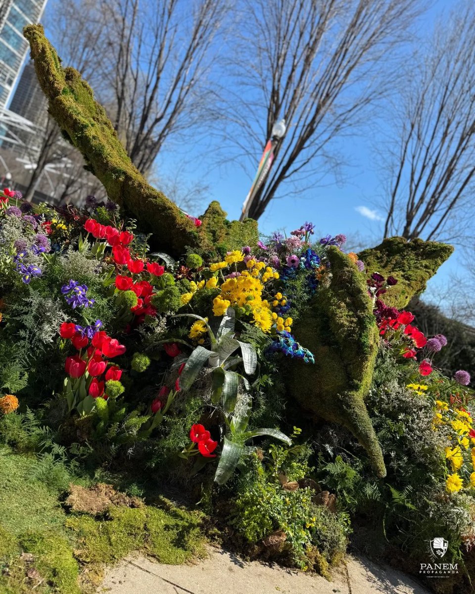 PanemPropaganda.com tweet media