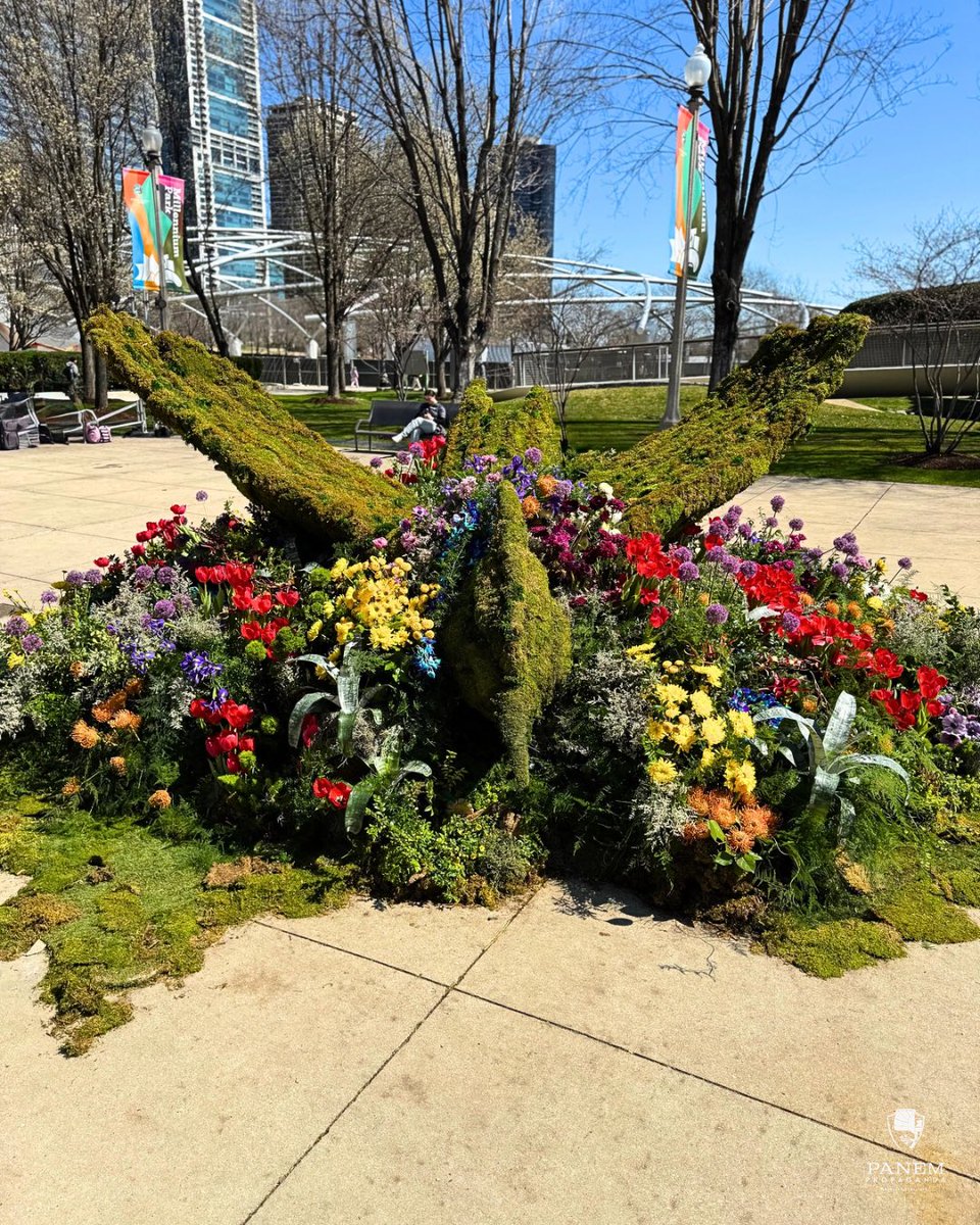 PanemPropaganda.com tweet media