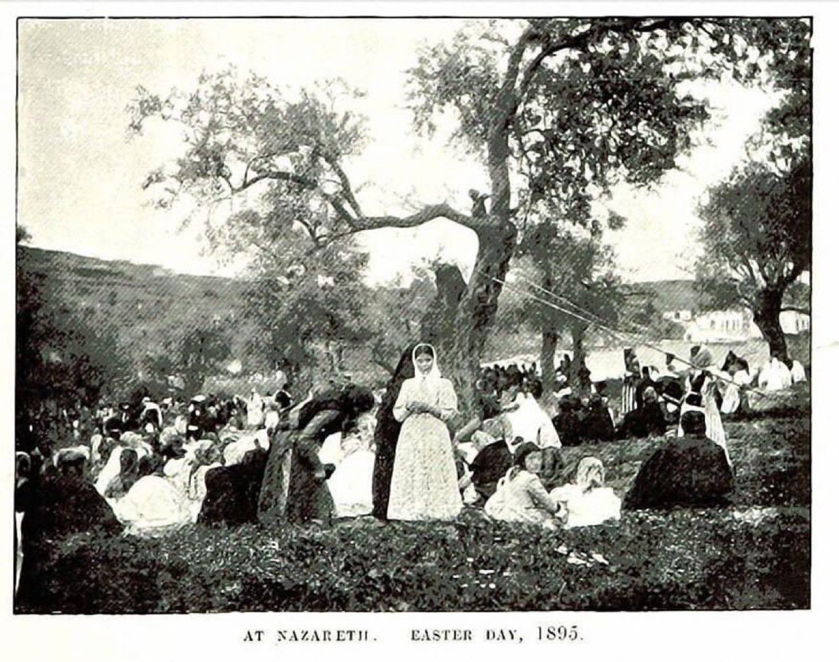 lavitalenta tweet media