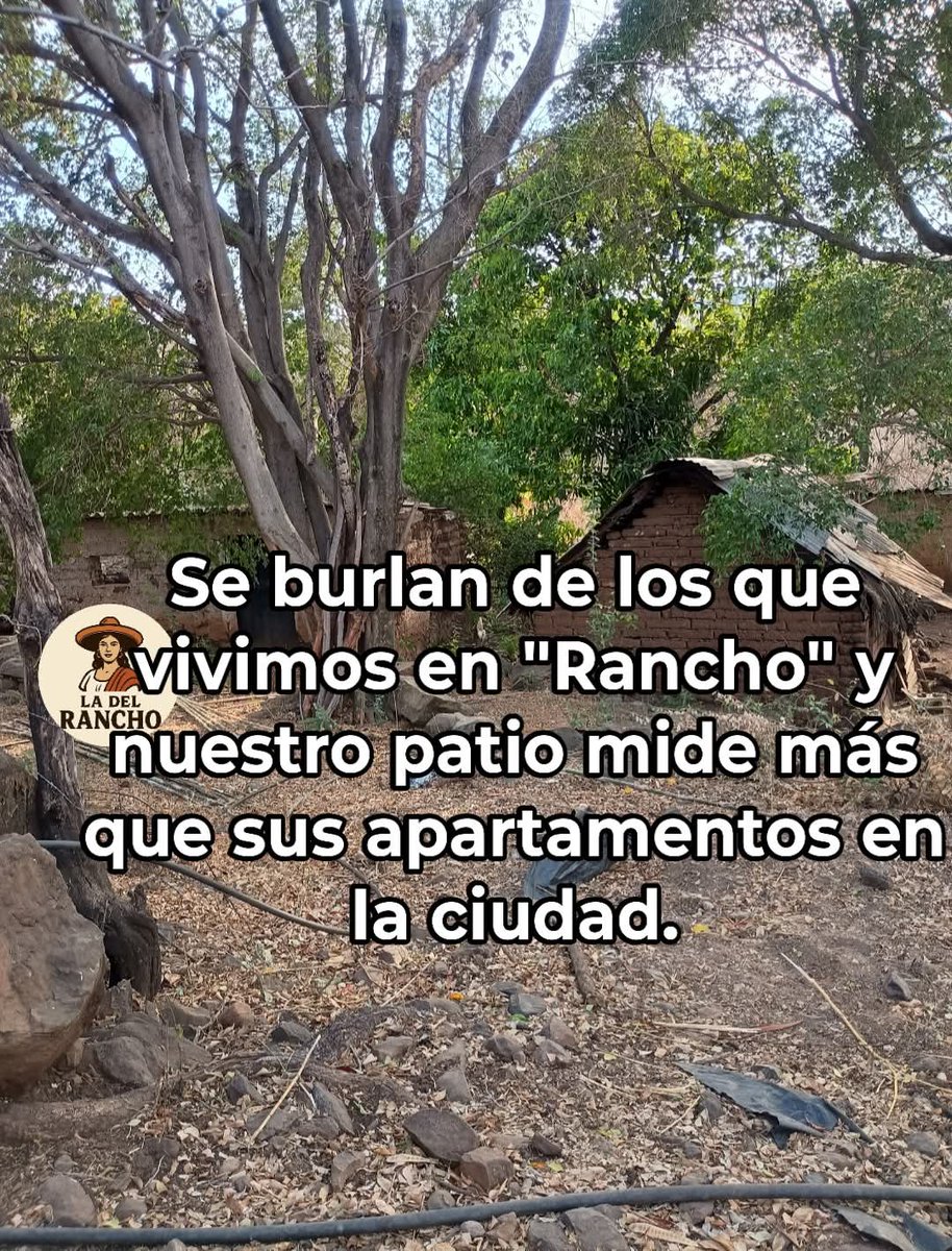 Camilla González fernández tweet media