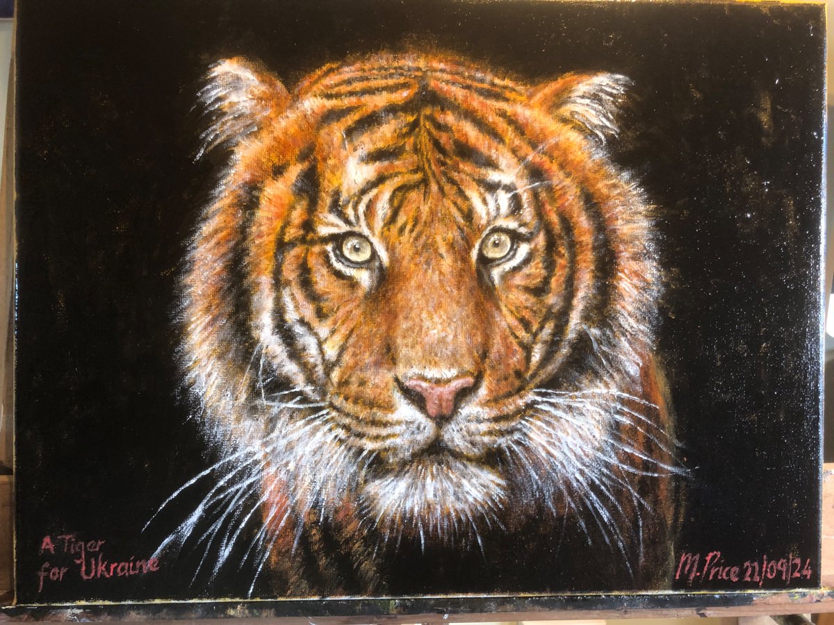 Feisty Robin Rembrandt fella tweet media