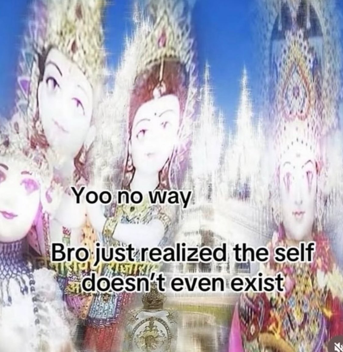 😴📚 tweet media