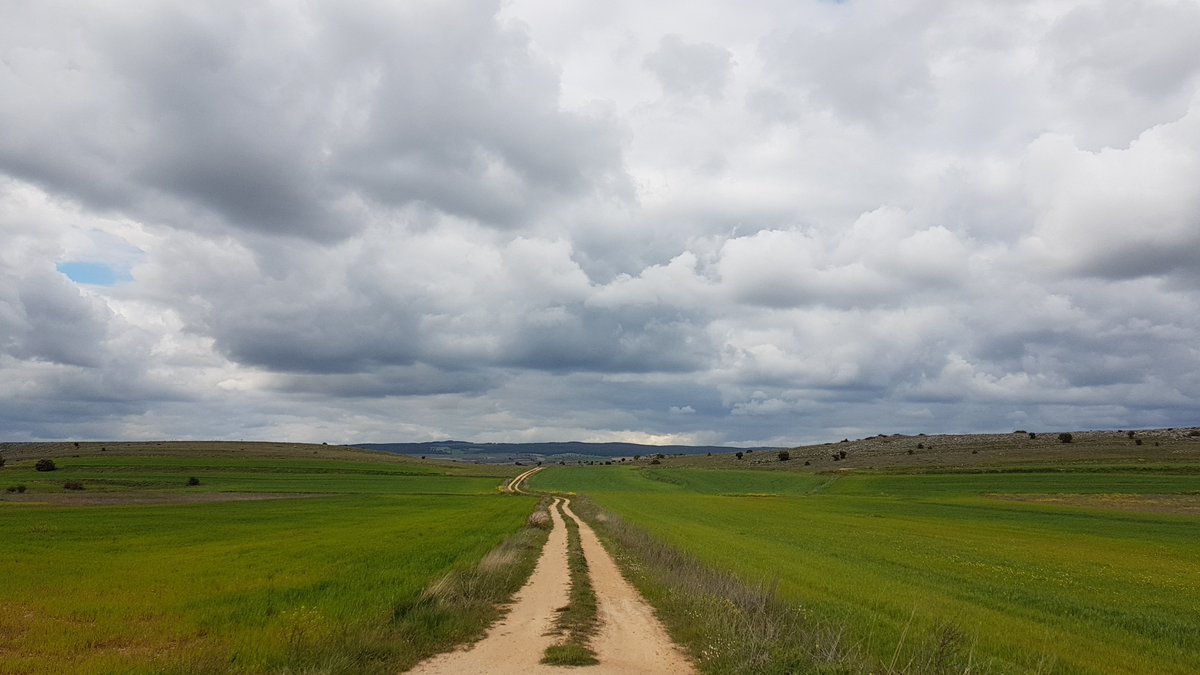 Herudeldin's tweet image. Plain green.

#landscapephotography 
#Landscapes 
#landscape 
#NaturePhotography 
#nature
#photography