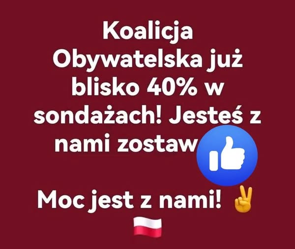 Liberalny Departament tweet media