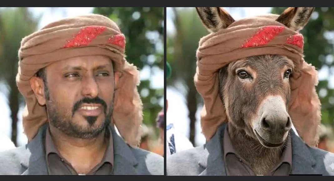 نجم الجنوب tweet media