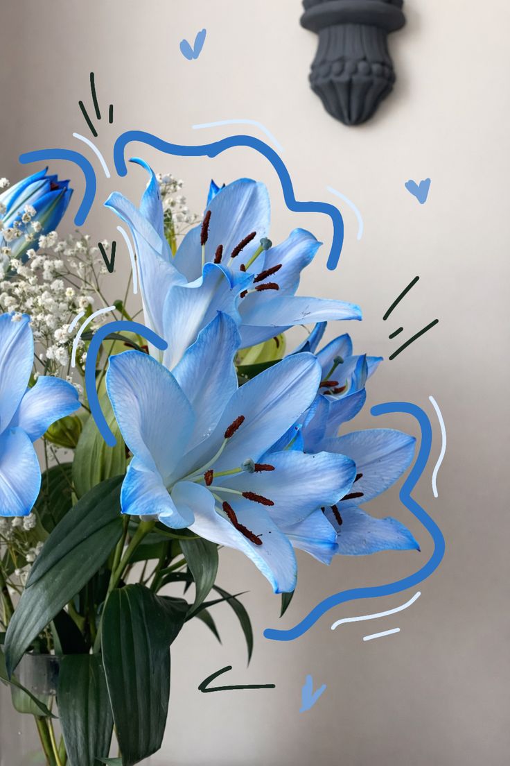 Bloomify tweet media