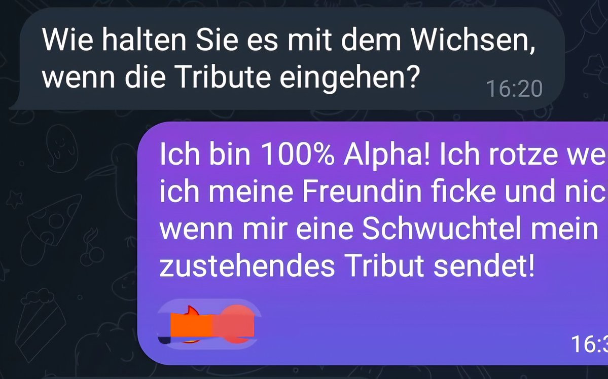 DomAlphaKingChris👑🇩🇪 tweet media