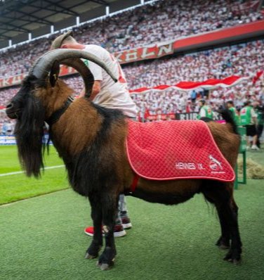 BlueThunderVII tweet media