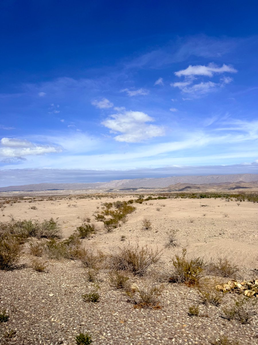 Adrianne tweet media