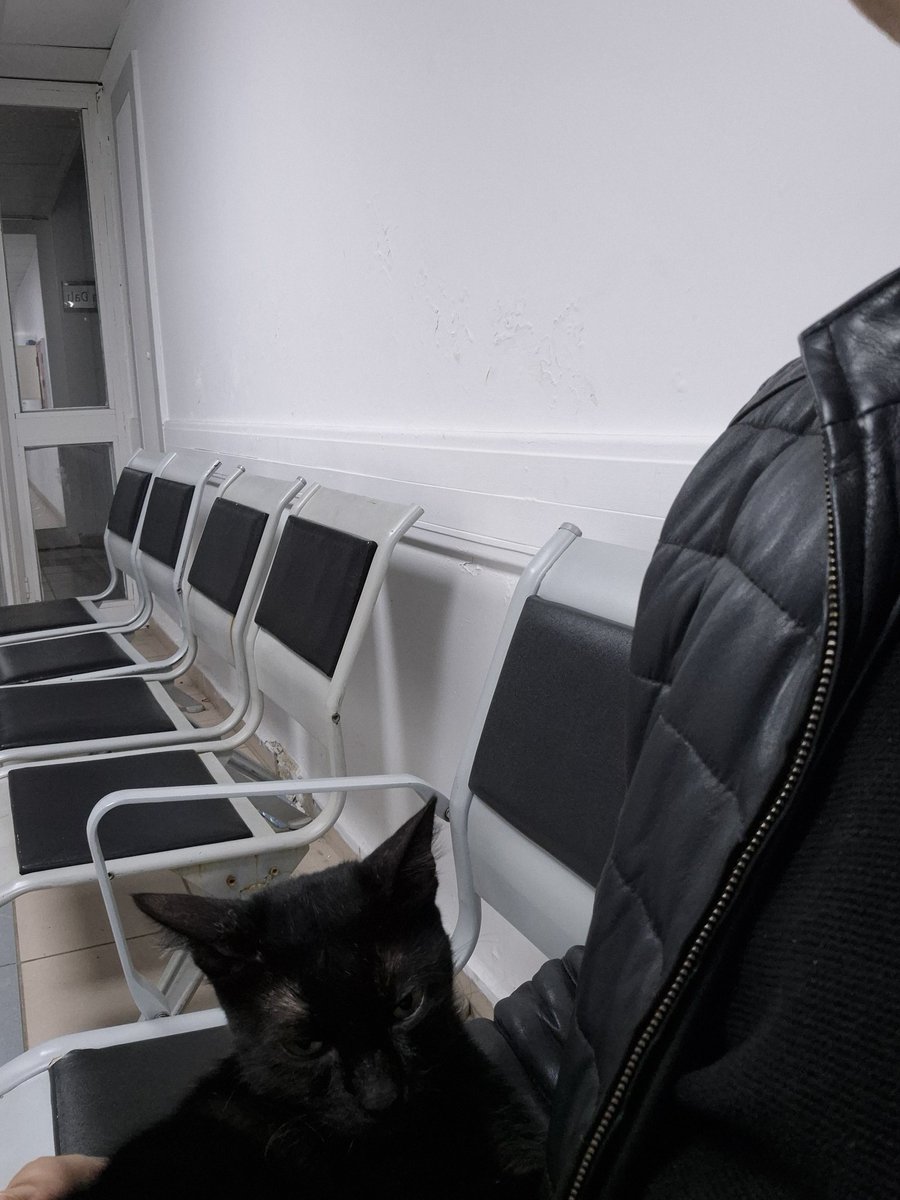 Mete Altıntaş🇹🇷🇦🇿 tweet media