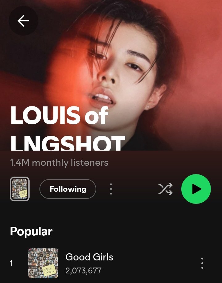 LOUIS LIM INDONESIA tweet media
