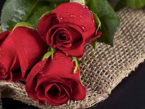 ‏همـسـ آلمـشـآع ـر.💙🤍 tweet media
