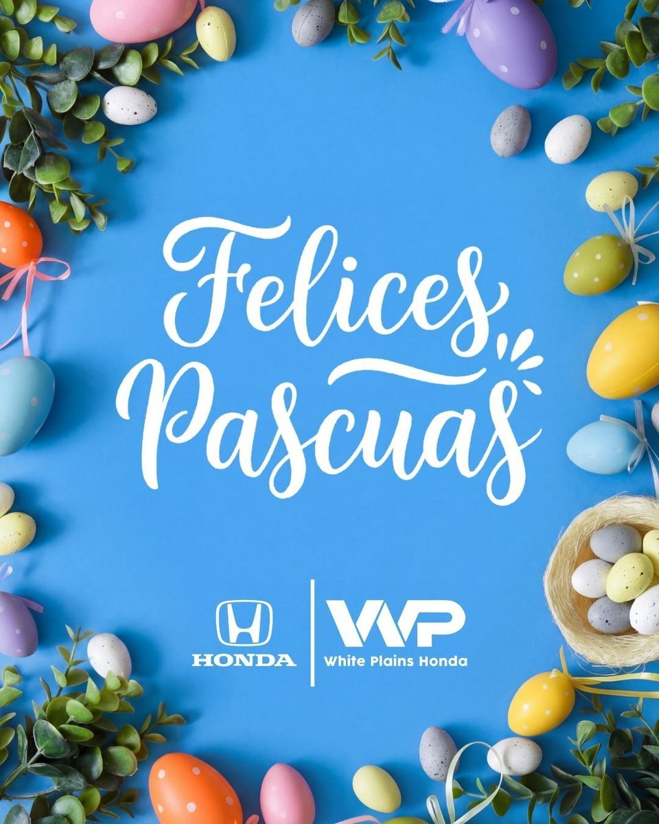 White Plains Honda tweet media