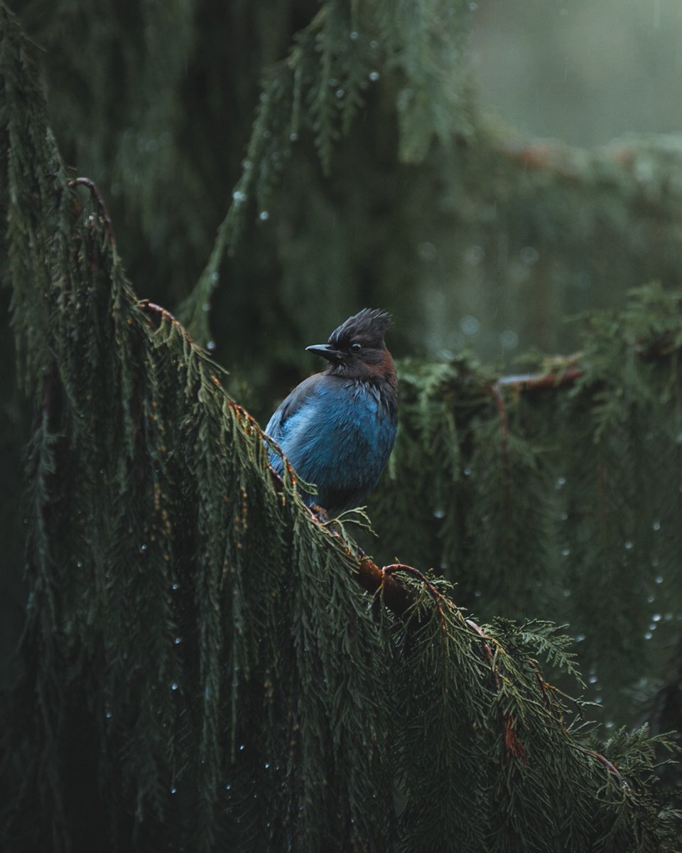 𝘄𝗮𝗻𝗱𝗲𝗿𝘁𝗿𝗮𝘃𝗲𝗹𝘀 tweet media