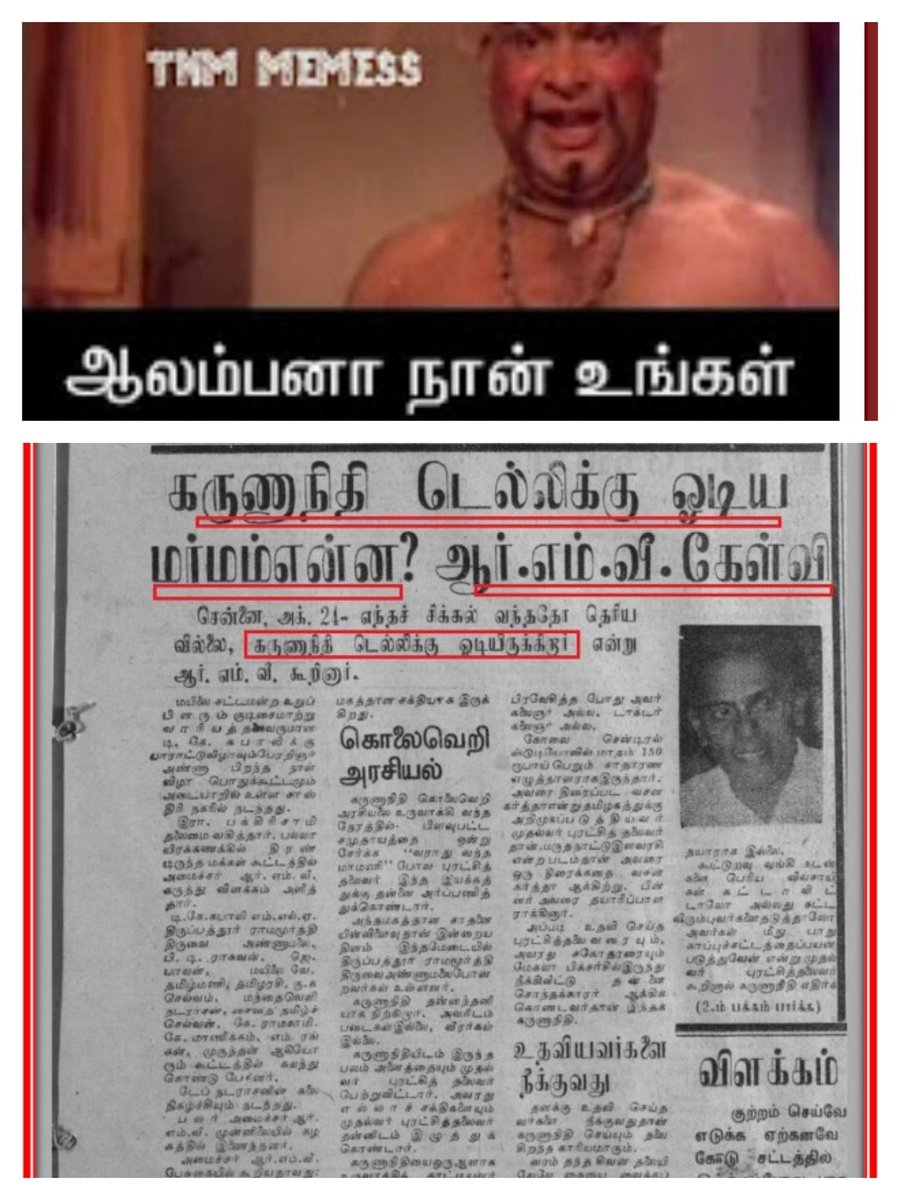 🦚தோகை Toka Turkey🦚 tweet media