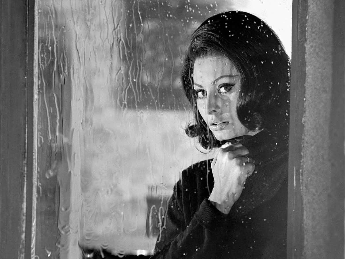 sylvie longeron tweet media