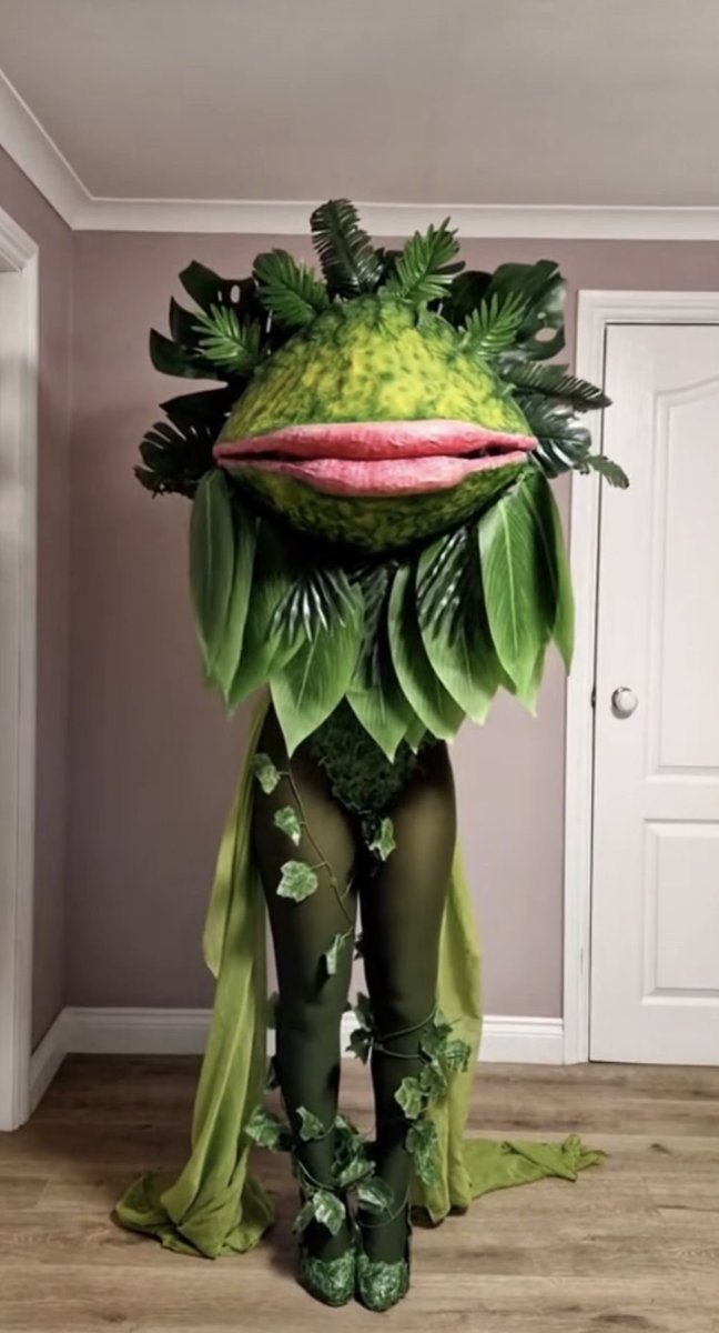 luke 🐻 tweet media