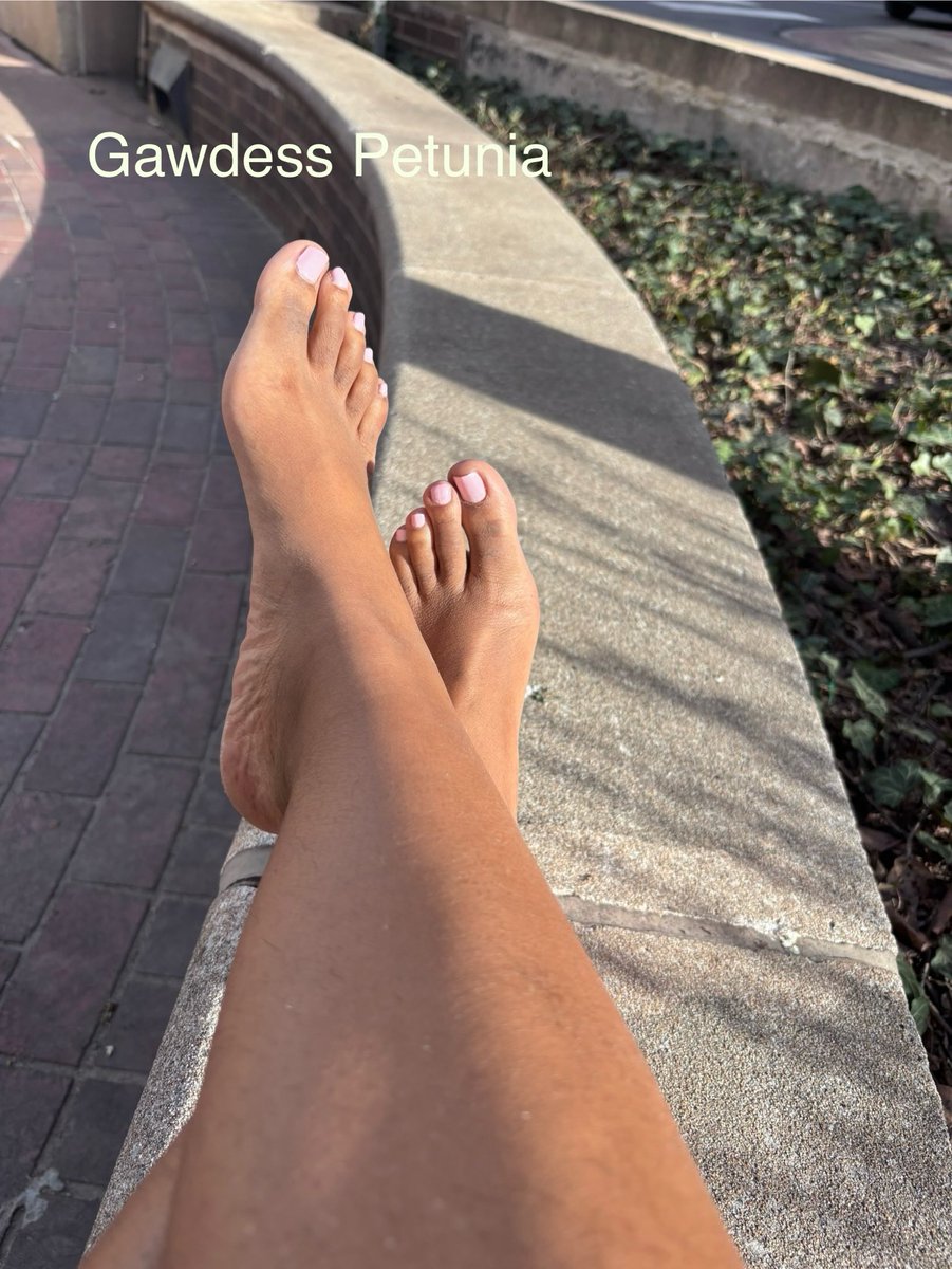 It’s a crisp, sunny day 🥰 love that’s it’s Easter too. 🐰🐇