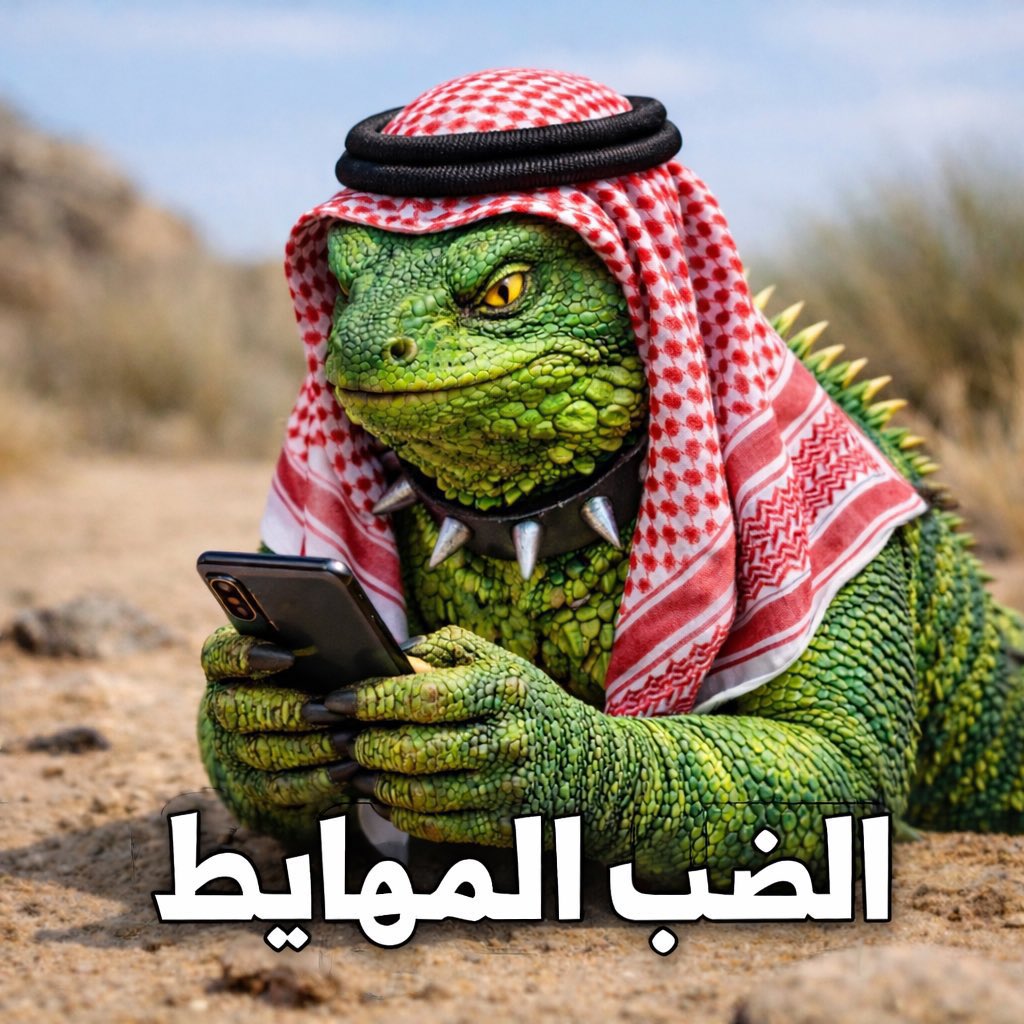 Lamrani Mustapha tweet media