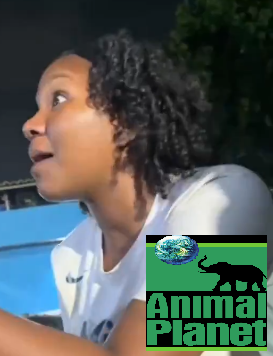 Néoz Cipriani tweet media