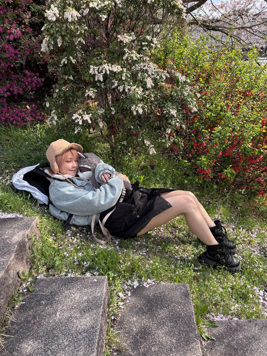 Hana🌸 tweet media