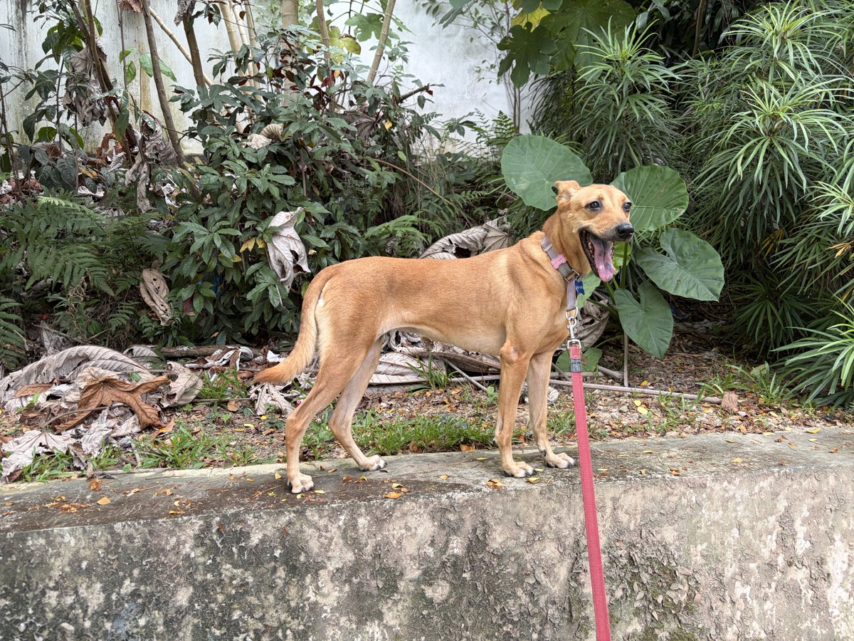 Edward C. Yong ن tweet media