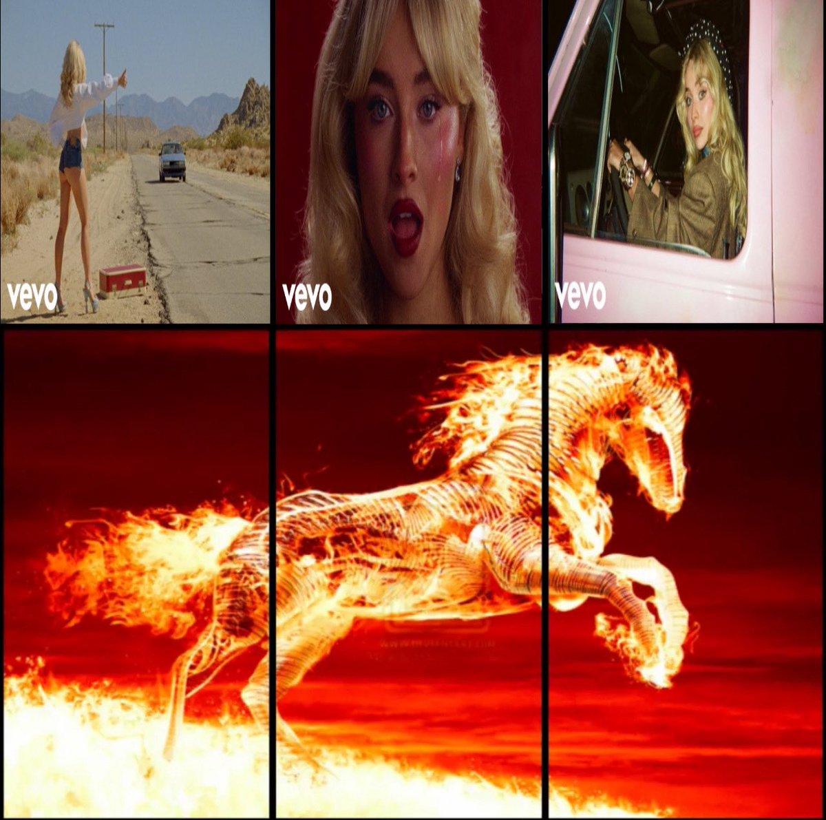 acervo mbf 🍷🐾 tweet media