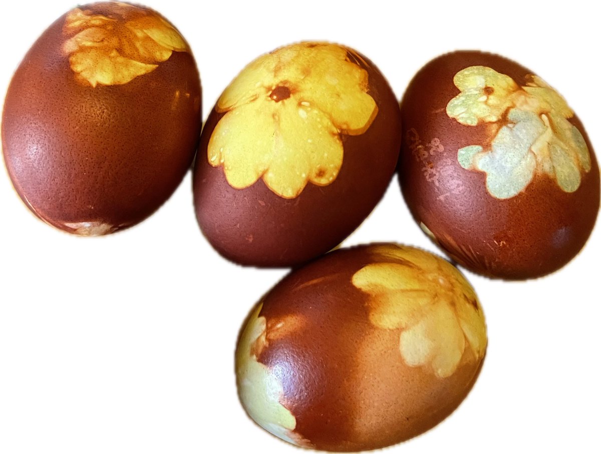 Nina Stanek tweet media