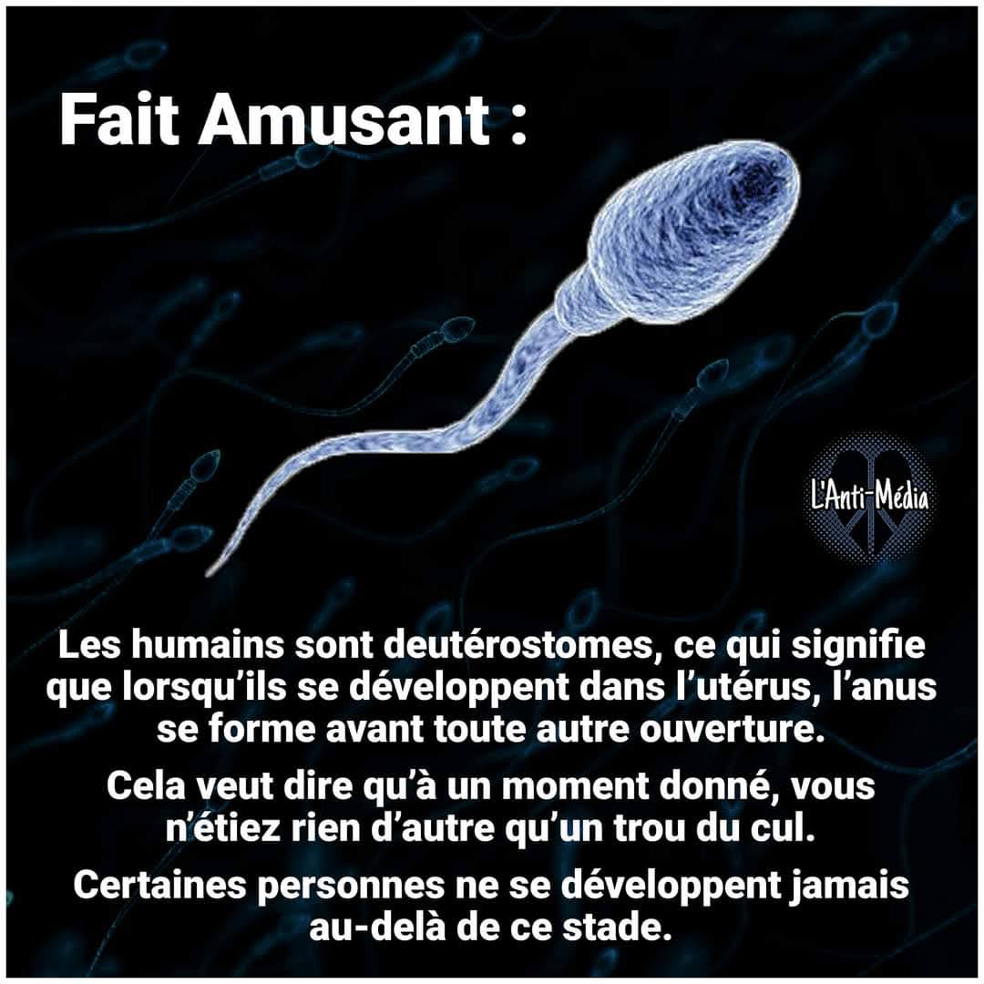 Lizsalhander🔻🚩🏴🏴‍☠️🕊🍀Stand with HUMANITY🇵🇸 tweet media