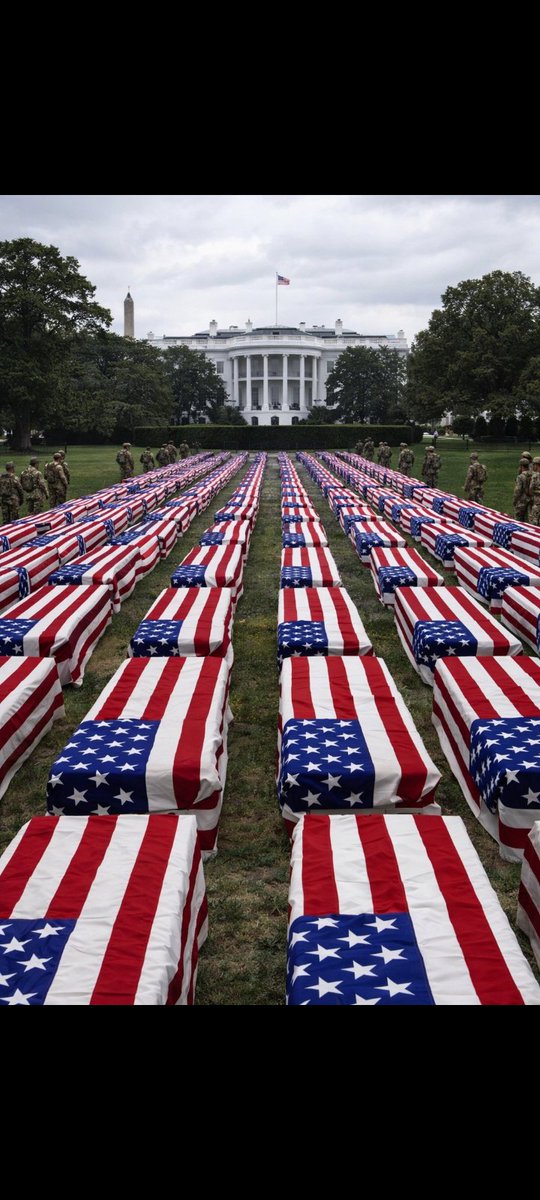 Muhammed bayram 🇹🇷🇹🇷🇹🇷 tweet media