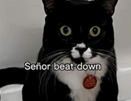 Spellcrafter Geltaran 👁️‍🗨️📜 tweet media