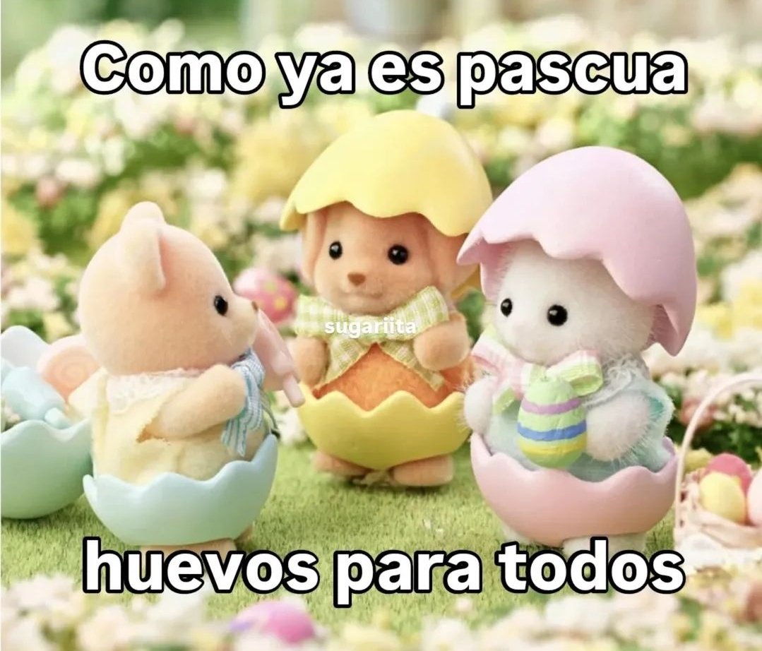 Mr. Flipy tweet media