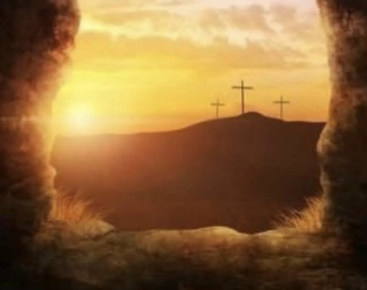 Phil Humphries-Actor, Comedian (@phil3017) on Twitter photo 