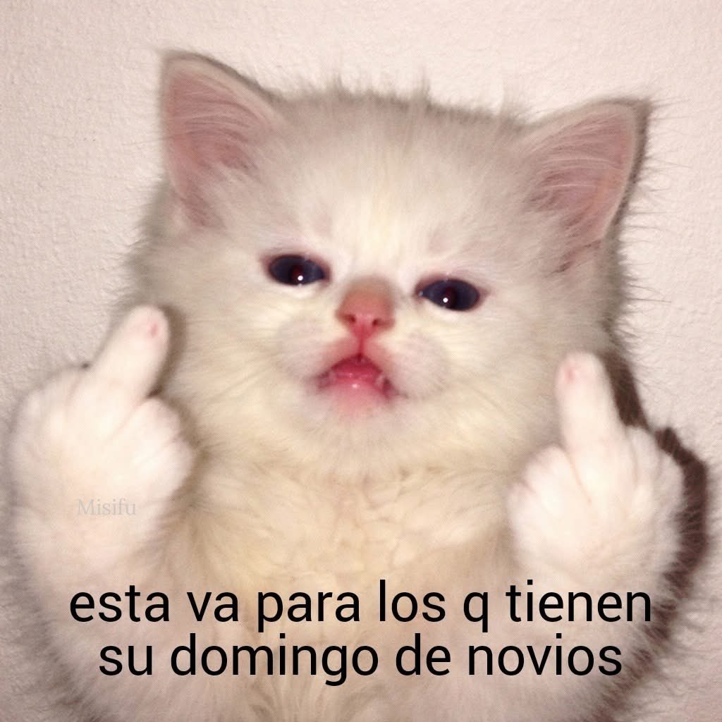 Salvador Iglesias Jr tweet media