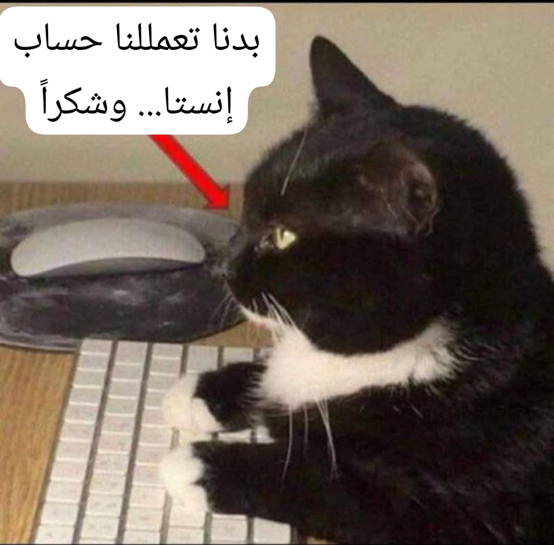 💬 tweet media