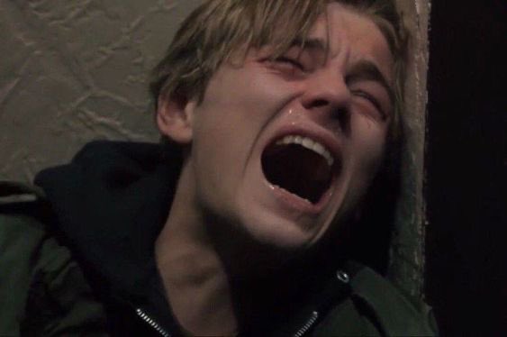 L (meow) tweet media