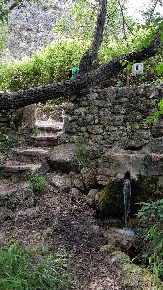 Herudeldin's tweet image. Spring 😜

#landscapephotography 
#Landscapes 
#landscape 
#NaturePhotography 
#nature
#photography