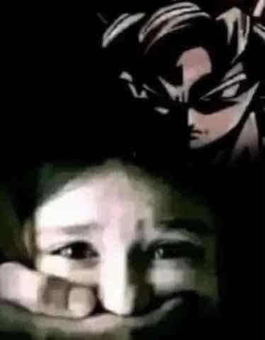 Bun the Diver 🌊🪸🐚🐬 tweet media