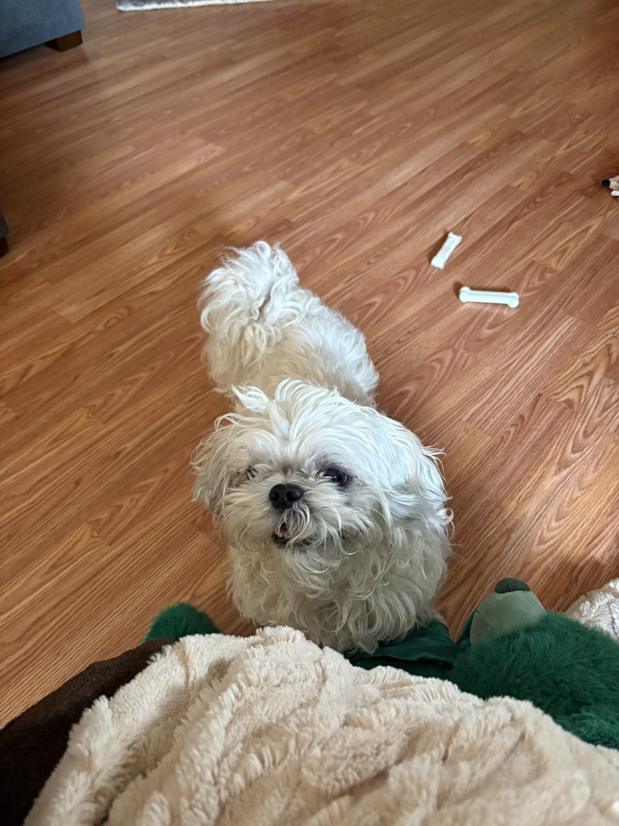 Violet & Theo tweet media