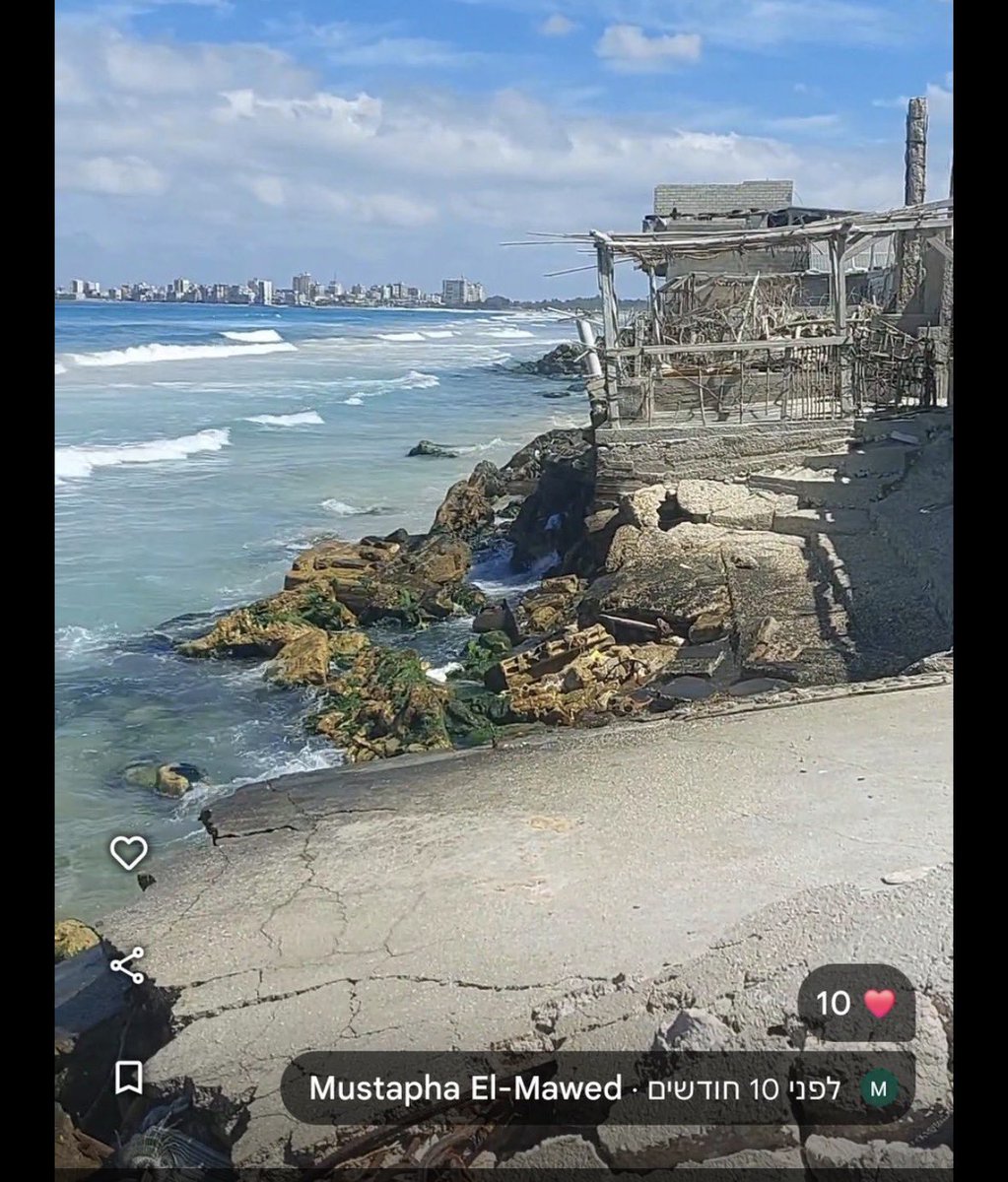 אור פיאלקוב tweet media