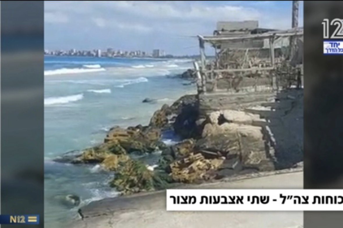 אור פיאלקוב tweet media