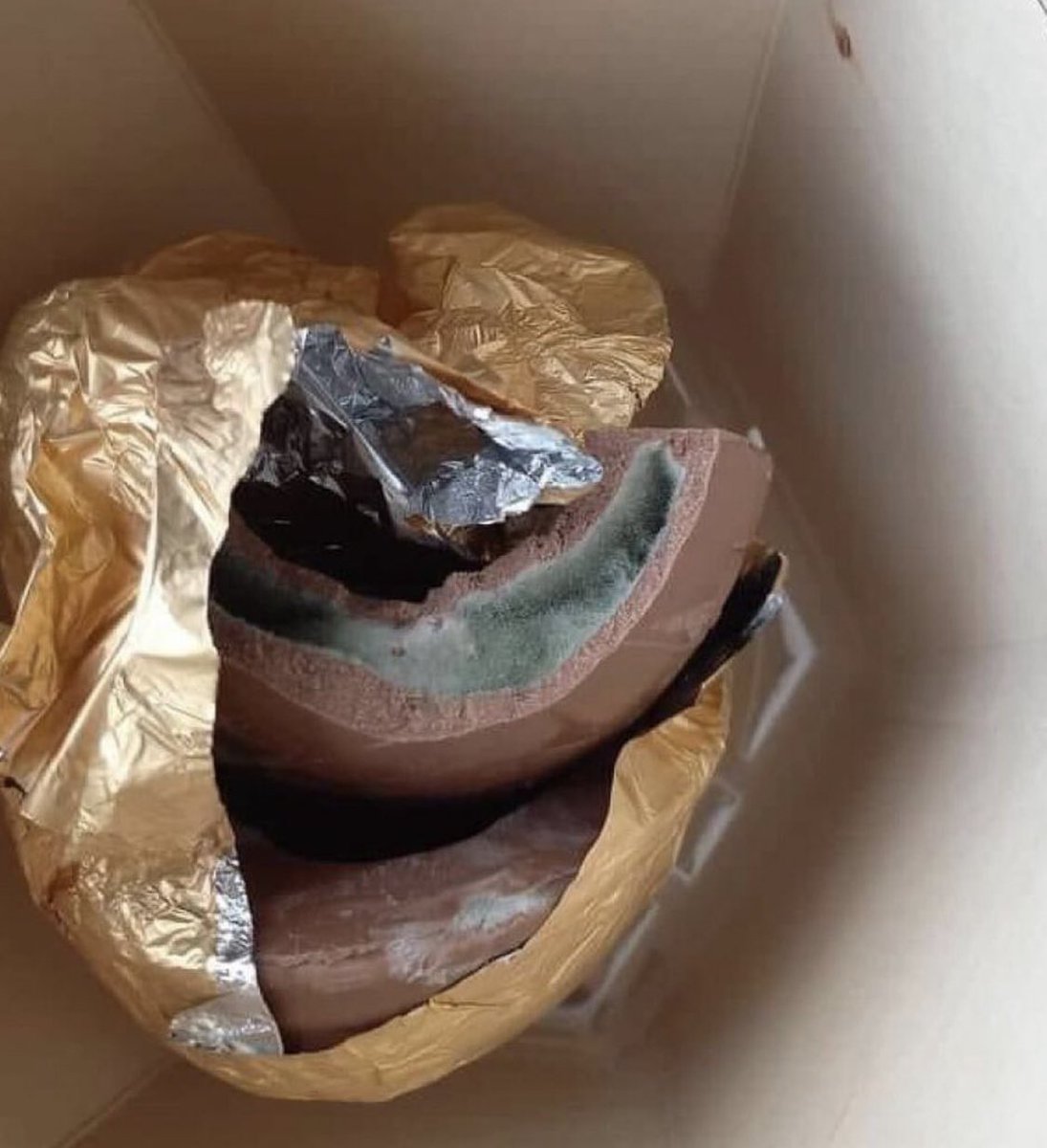 vick ִֶָ🦋🪭⋆𝐈𝐕⚖️ tweet media