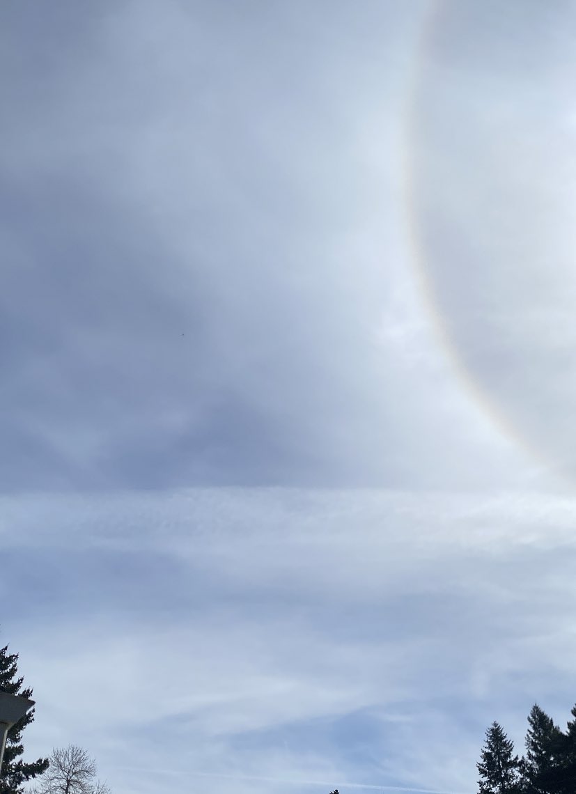 Rebekah81USA🇺🇸 tweet media