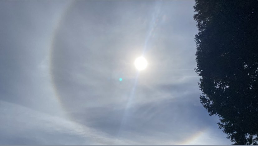 Rebekah81USA🇺🇸 tweet media