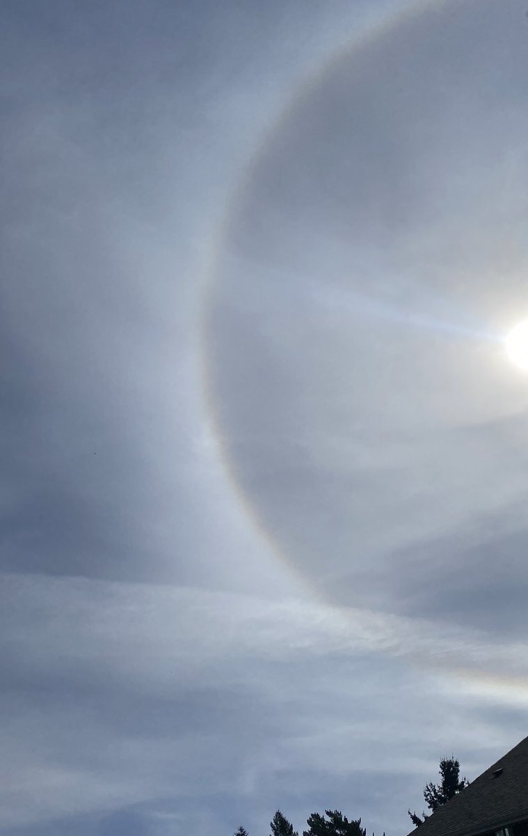 Rebekah81USA🇺🇸 tweet media