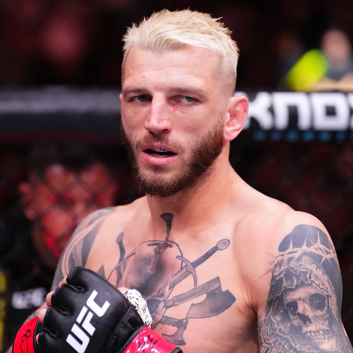 Super Fan🇮🇪 tweet media