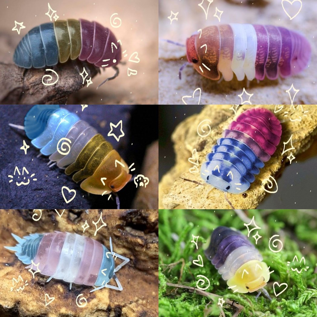 hawa ï๑ tweet media