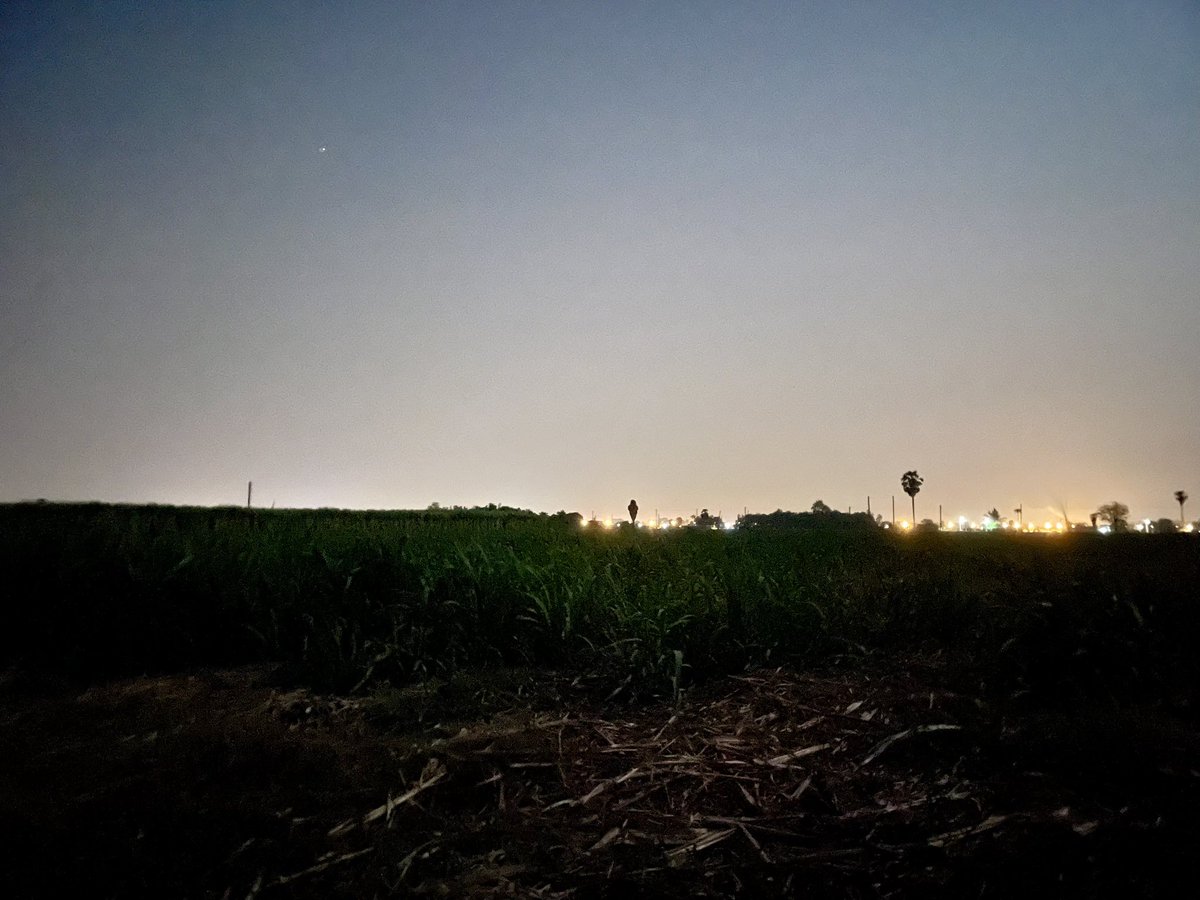 ไคก็ได้มาหาหน่อย อยู่ในไร่คนเดียว  #อู่ทอง