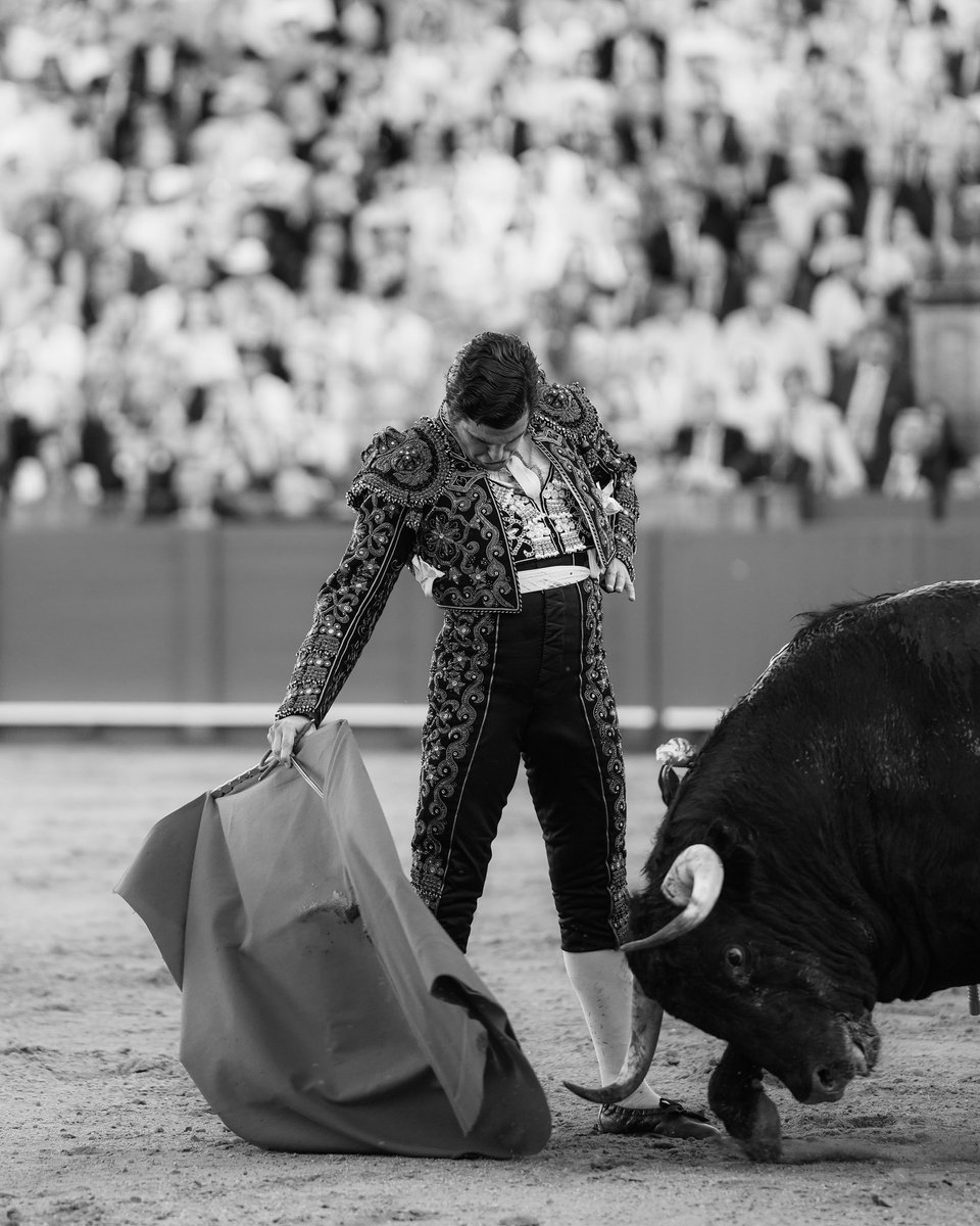 TQuifes's tweet photo. Morante de la Puebla. https://t.co/mmrOxd4XeE
