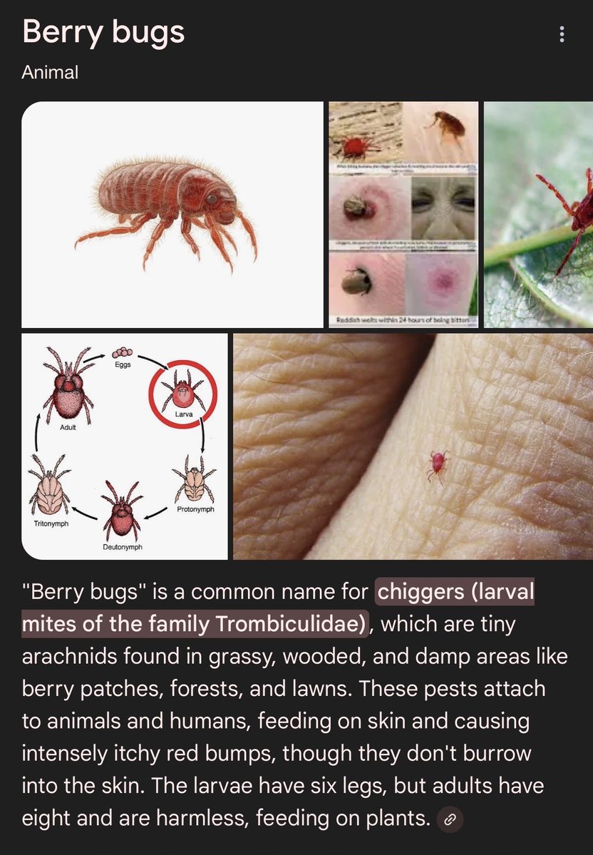 Truth Inspector D 🇺🇳 tweet media